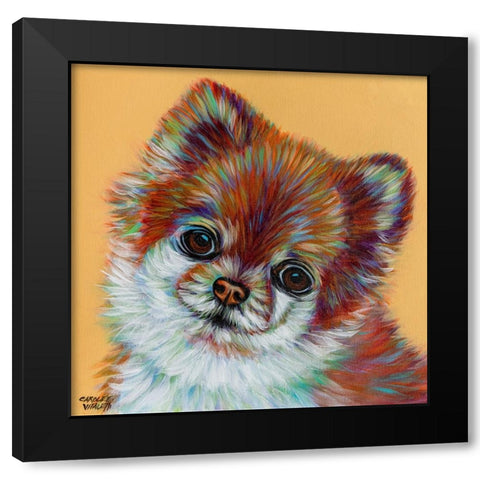 Colorful Pomeranian Black Modern Wood Framed Art Print by Vitaletti, Carolee