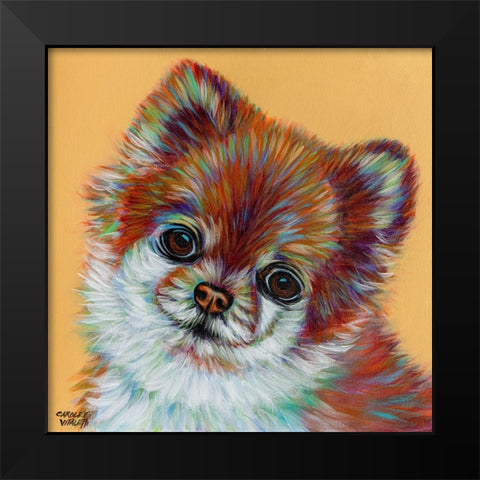 Colorful Pomeranian Black Modern Wood Framed Art Print by Vitaletti, Carolee