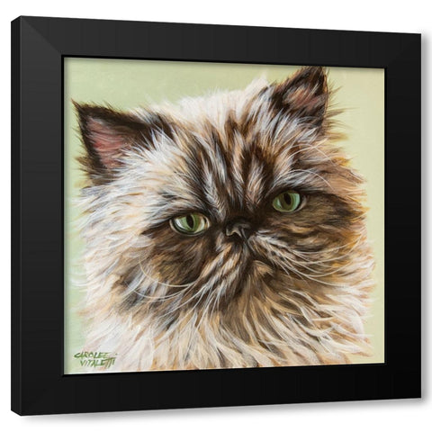 Persian Cat II Black Modern Wood Framed Art Print with Double Matting by Vitaletti, Carolee