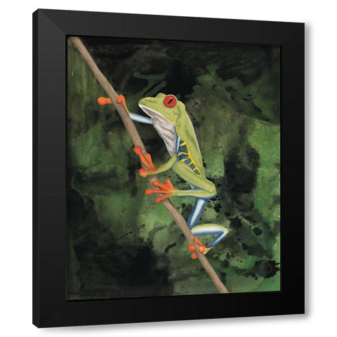 Watercolor Tree Frogs II Black Modern Wood Framed Art Print with Double Matting by Willett, Michael