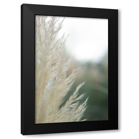 Subtle Grasses I Black Modern Wood Framed Art Print by Johnson, Jason