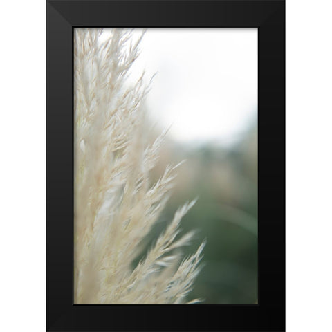 Subtle Grasses I Black Modern Wood Framed Art Print by Johnson, Jason