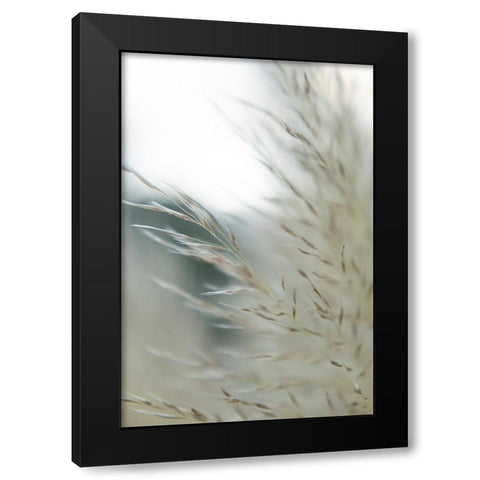 Subtle Grasses II Black Modern Wood Framed Art Print by Johnson, Jason