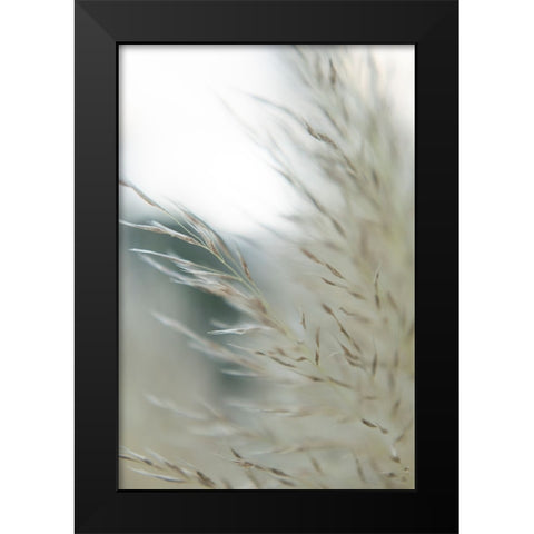 Subtle Grasses II Black Modern Wood Framed Art Print by Johnson, Jason