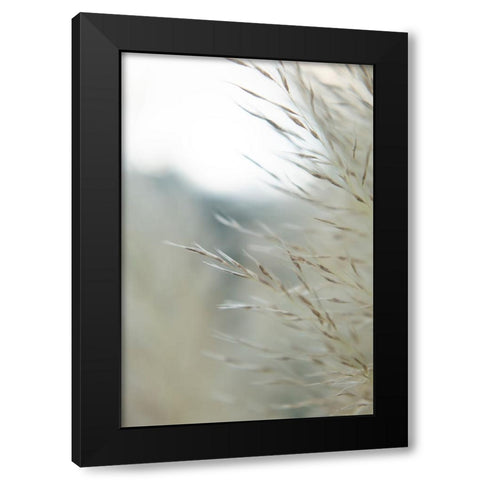 Subtle Grasses III Black Modern Wood Framed Art Print with Double Matting by Johnson, Jason