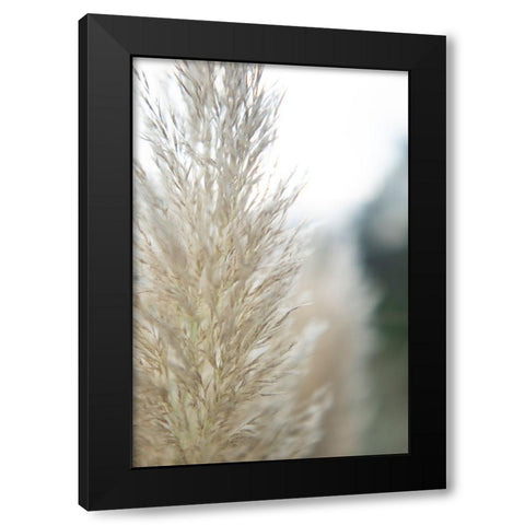 Subtle Grasses IV Black Modern Wood Framed Art Print by Johnson, Jason