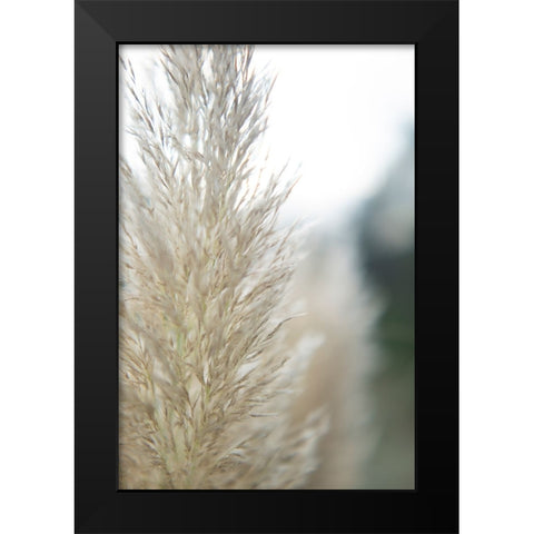 Subtle Grasses IV Black Modern Wood Framed Art Print by Johnson, Jason