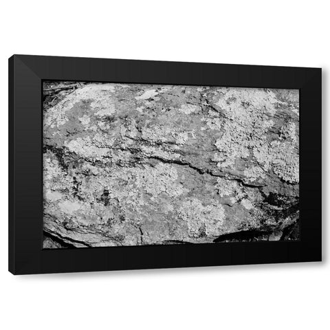 Found Textures XVI Black Modern Wood Framed Art Print by Johnson, Jason