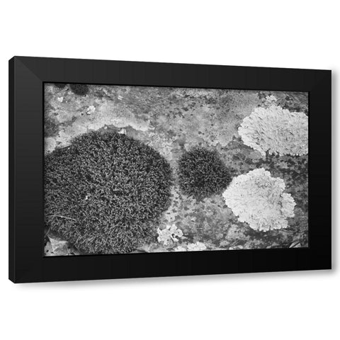Found Textures XIX Black Modern Wood Framed Art Print by Johnson, Jason