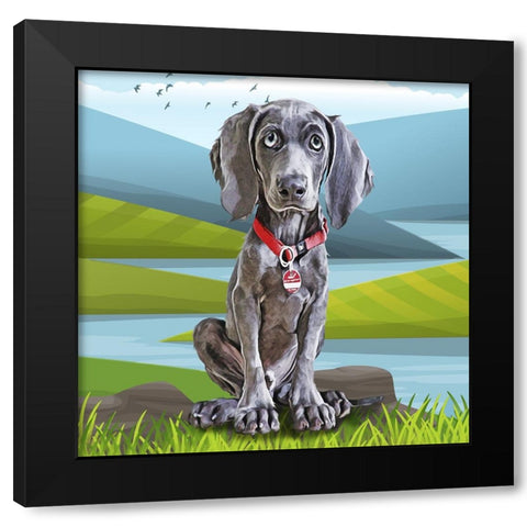 Baby Weimaraner Black Modern Wood Framed Art Print by Curinga, Kim
