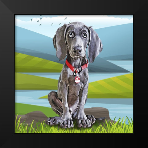 Baby Weimaraner Black Modern Wood Framed Art Print by Curinga, Kim