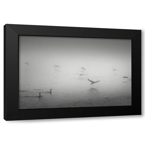 Curinga Scenes2 II Black Modern Wood Framed Art Print with Double Matting by Curinga, Kim