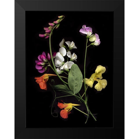 Flower Drama I Black Modern Wood Framed Art Print by Stalus, Judy