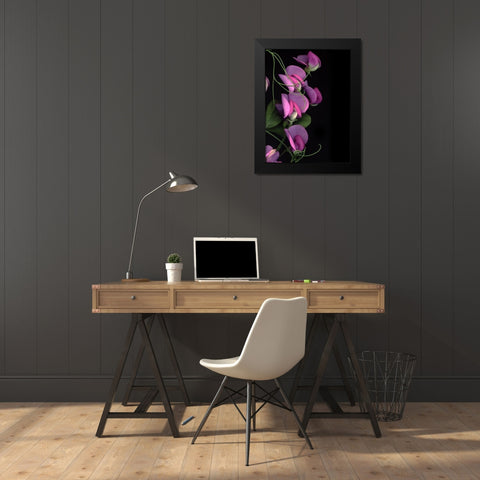 Flower Drama IV Black Modern Wood Framed Art Print by Stalus, Judy