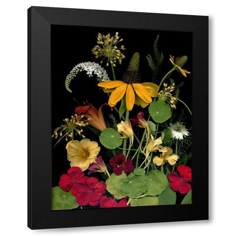 Flower Drama VII Black Modern Wood Framed Art Print with Double Matting by Stalus, Judy