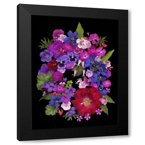 Flower Drama VIII Black Modern Wood Framed Art Print with Double Matting by Stalus, Judy