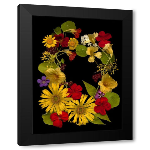 Flower Drama IX Black Modern Wood Framed Art Print with Double Matting by Stalus, Judy