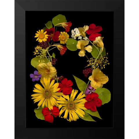 Flower Drama IX Black Modern Wood Framed Art Print by Stalus, Judy