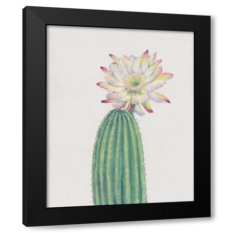 Cactus Blossom I Black Modern Wood Framed Art Print with Double Matting by OToole, Tim