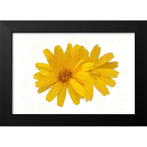 Yellow Asters Black Modern Wood Framed Art Print by Pica, Jeff
