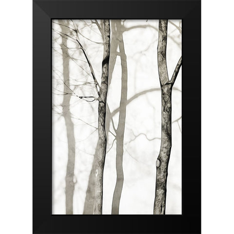 Shadowed Tree Trunks I Black Modern Wood Framed Art Print by Aldridge, Ashley