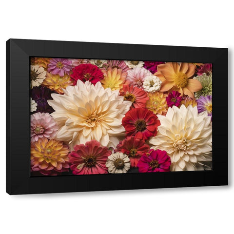 Dahlia Dream Scape  I Black Modern Wood Framed Art Print by McLean, Leah