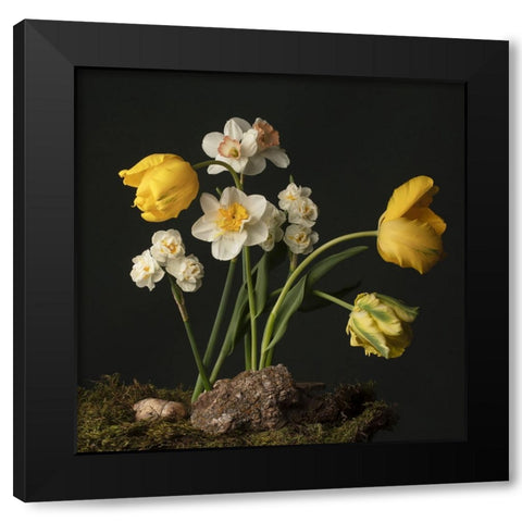 Sunny Spring Bounty  I Black Modern Wood Framed Art Print by McLean, Leah