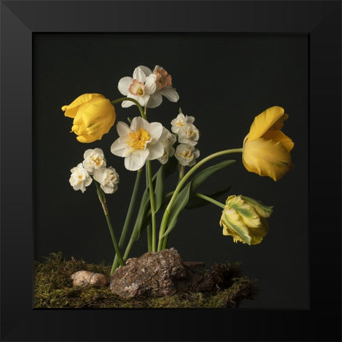 Sunny Spring Bounty  I Black Modern Wood Framed Art Print by McLean, Leah