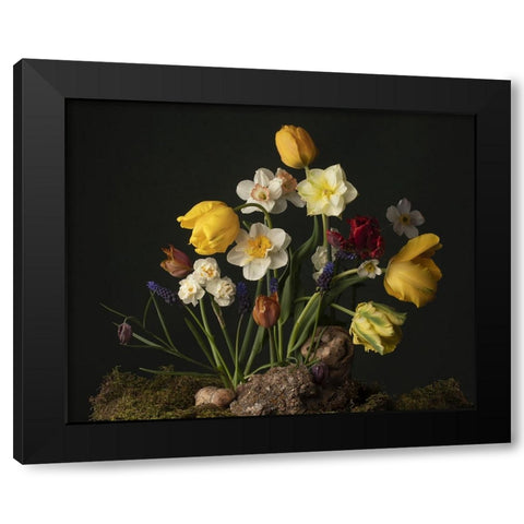 Sunny Spring Bounty  III Black Modern Wood Framed Art Print with Double Matting by McLean, Leah