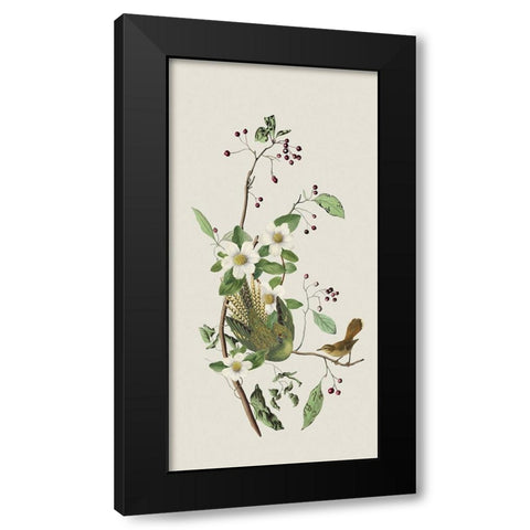 Nostalgic Birds II Black Modern Wood Framed Art Print with Double Matting by Haase, Andrea