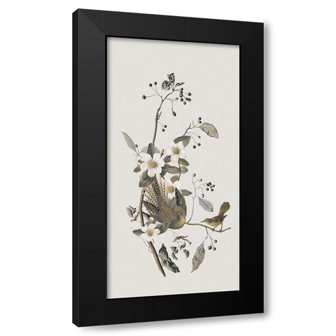 Nostalgic Birds IV Black Modern Wood Framed Art Print by Haase, Andrea