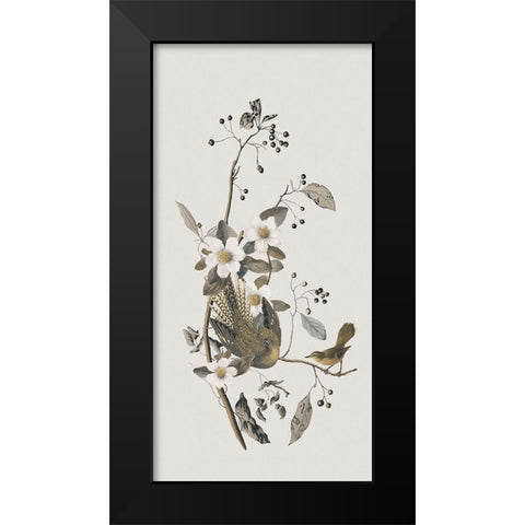 Nostalgic Birds IV Black Modern Wood Framed Art Print by Haase, Andrea