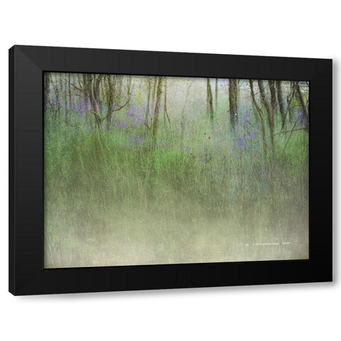 Glimpse of the Lake Black Modern Wood Framed Art Print with Double Matting by Vest, Chris