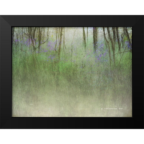 Glimpse of the Lake Black Modern Wood Framed Art Print by Vest, Chris