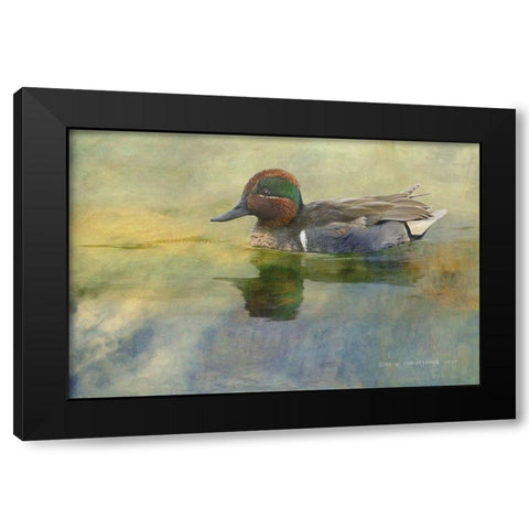 Green Teal Drake Black Modern Wood Framed Art Print with Double Matting by Vest, Chris