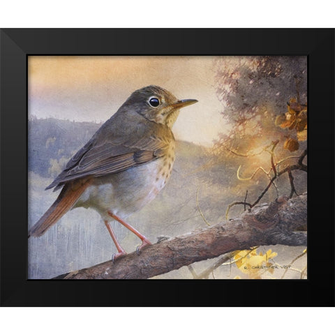 Hermit Thrush Hillside Drive Black Modern Wood Framed Art Print by Vest, Chris