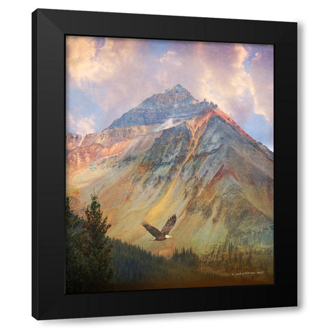 In the Southern San Juan Mountains Black Modern Wood Framed Art Print with Double Matting by Vest, Chris