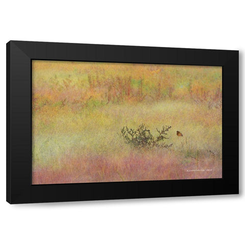 Koshia in Muhly Grass Black Modern Wood Framed Art Print with Double Matting by Vest, Chris