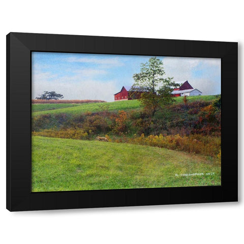 Ohio Barn with Red Fox Black Modern Wood Framed Art Print by Vest, Chris
