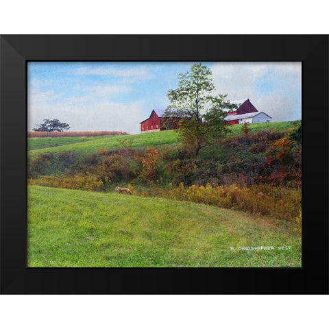 Ohio Barn with Red Fox Black Modern Wood Framed Art Print by Vest, Chris