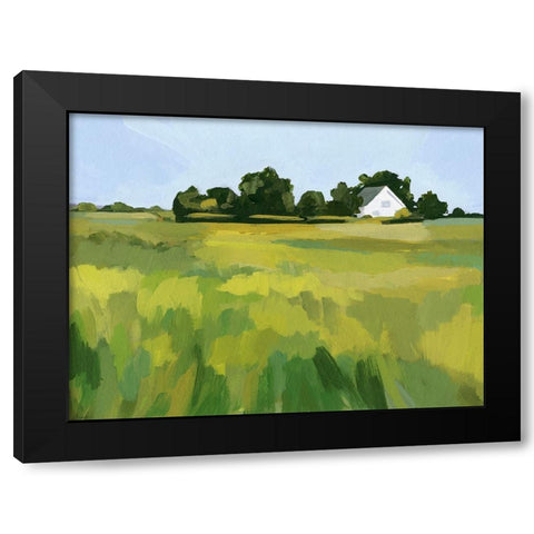 Meadow Lane II Black Modern Wood Framed Art Print by Barnes, Victoria