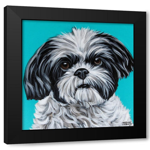 Black and White Shih Tzu Black Modern Wood Framed Art Print with Double Matting by Vitaletti, Carolee