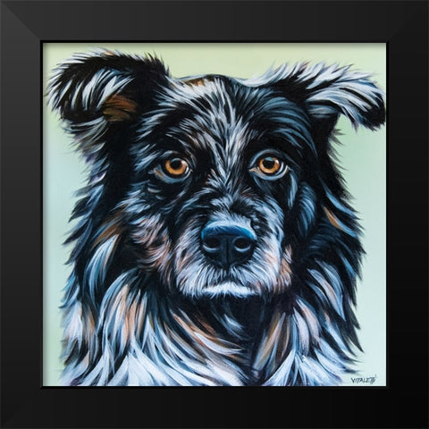 Realistic Australian Shepard Black Modern Wood Framed Art Print by Vitaletti, Carolee