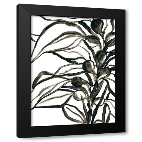 Kelp Contour I Black Modern Wood Framed Art Print by Vess, June Erica