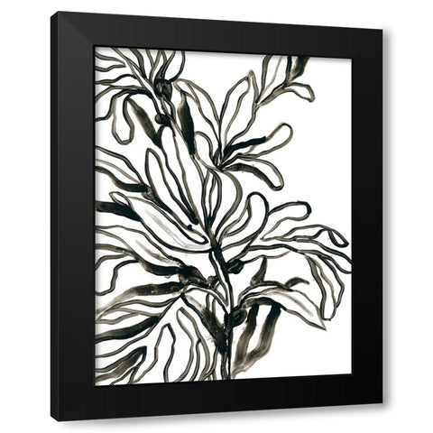 Kelp Contour II Black Modern Wood Framed Art Print by Vess, June Erica