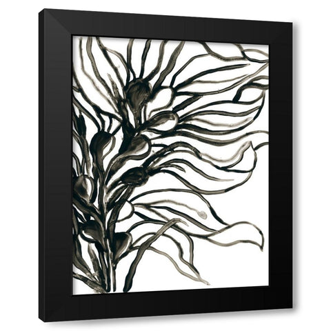 Kelp Contour IV Black Modern Wood Framed Art Print by Vess, June Erica