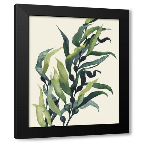 Through the Kelp II Black Modern Wood Framed Art Print with Double Matting by Popp, Grace