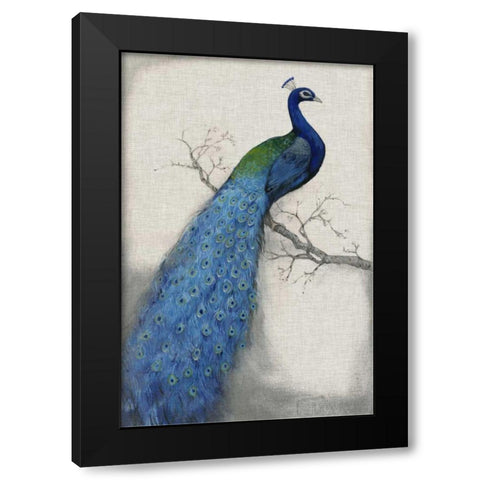 Peacock Blue I Black Modern Wood Framed Art Print by OToole, Tim