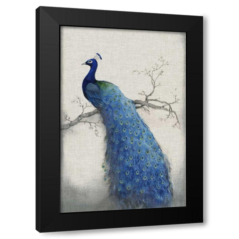 Peacock Blue II Black Modern Wood Framed Art Print with Double Matting by OToole, Tim