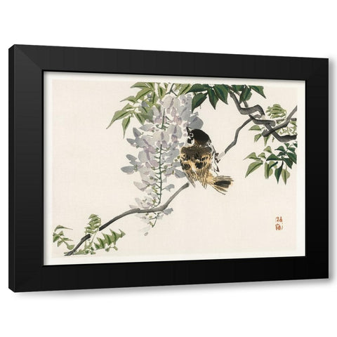 Kono Bairei Songbirds II Black Modern Wood Framed Art Print by Vision Studio